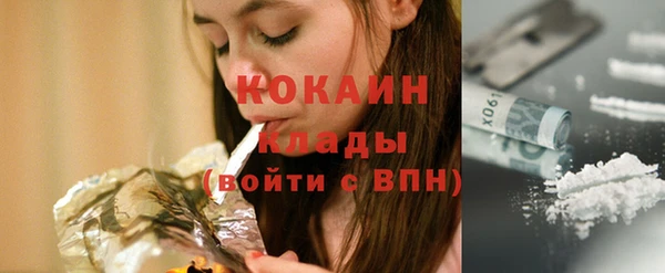 стафф Алексин