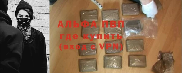 стафф Алексин