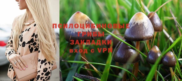 прущий лед Алзамай