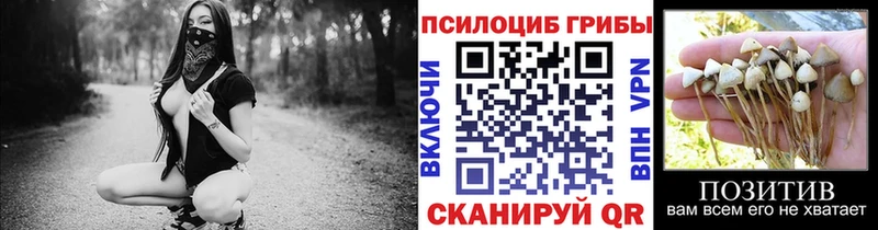 продажа наркотиков  Спасск  Псилоцибиновые грибы Psilocybine cubensis 
